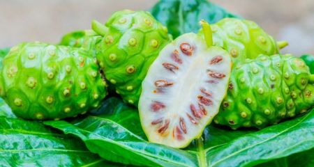 Властивості рослини ноні: користь та застосування в косметиці